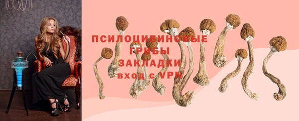прущие крисы Армянск