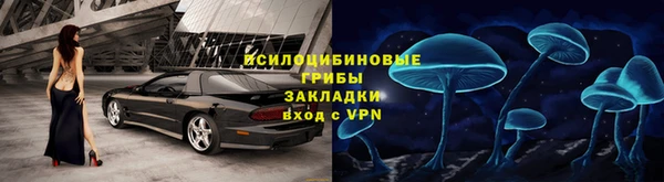 spice Арсеньев